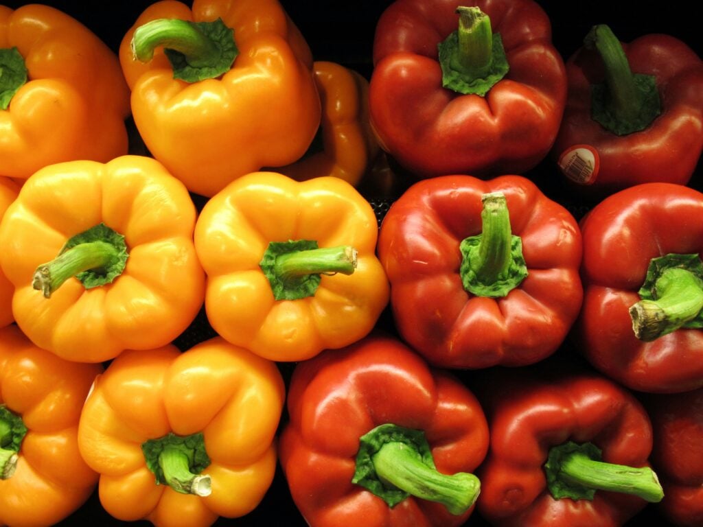 freysteinn-g-jonsson-i431AeZUCdI-unsplash kan hundar äta paprika