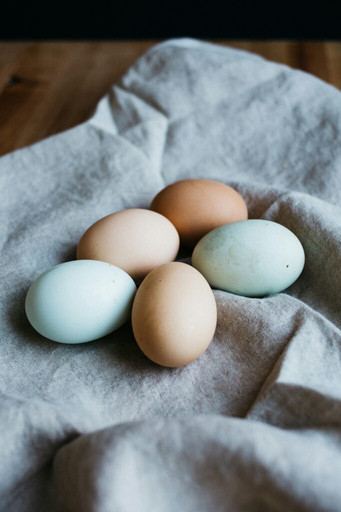 kan hundar äta ägg