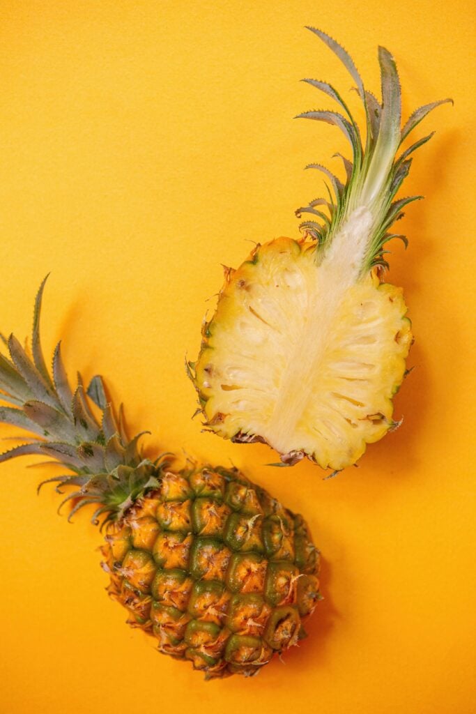 vino-li-OKT6Ce9fwqI-unsplash Kan hundar äta ananas